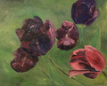 Tulppaanit
50x40