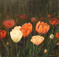 Tulppaanipelto
40x40