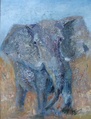Nuori Elefantti