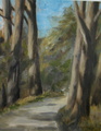 Mainaun saarella
40x50