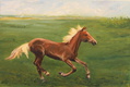 Vapauden tunne
60x40
