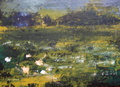 
Pieni lummelampi 23x17