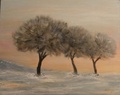 Talven lumo  40x50 