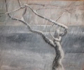 Mongolian vaahtera
55x46