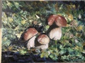 Herkkutatit
40x30
