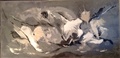 60x120