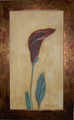 Kalla
20x36