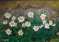 Valkovuokot
36x26