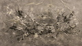 60x120